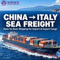 Agent maritime Chine-Italie, agent de transport maritime, services d'expédition porte-à-porte pour le fret import-export depuis la Chine