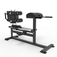 Sunshine SW8008 Équipement de fitness commercial multifonctionnel pour salle de sport, Banc de levée de fessiers et de fessiers-hamstrings, Machine de développement des hanches, Chaise romaine