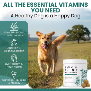 Petop OEM/ODM Integratori Multivitaminici Masticabili per <span class=keywords><strong>Cani</strong></span> - Supporto Naturale per Articolazioni e Anca con Omega-3 e Glucosamina Biologica - Product Image 2