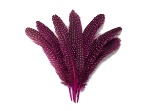 Pluma <span class=keywords><strong>de</strong></span> Gallo <span class=keywords><strong>de</strong></span> Guinea Teñida <span class=keywords><strong>de</strong></span> Alta Calidad, <span class=keywords><strong>de</strong></span> 15-20 cm, Precio <span class=keywords><strong>de</strong></span> Ganga Profesional, <span class=keywords><strong>Venta</strong></span> al por Mayor <span class=keywords><strong>de</strong></span> Fábrica - Product Image 6