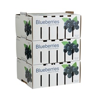Boîte en carton ondulé ventilée personnalisée en gros pour l'emballage de fruits frais (myrtilles)