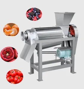 High Quality Commercial Fruit Orange Apple Juicer Ginger Mango Lemon Pineapple Cashew ColdPress Juice Extractor Machine Supplier