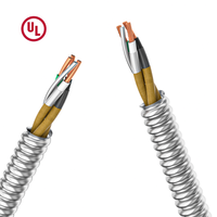 Profesional 12/2 Awg Aia Pvc/nylon aislamiento Cable calibre 2 conductores Mc Cable armadura Ac90 10/3 75m Cable blindado para CA
