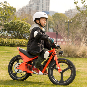 Trottinette 16 pouces pour enfants, vélo d'équilibre à 1 vitesse et vélo électrique à faible vitesse avec frein à disque pour l'apprentissage des enfants - Product Image 4