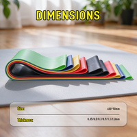 OKPRO - Juego de Bandas de Resistencia Elásticas de Látex para Ejercicio, Diferentes Tamaños, Bandas de Goma para Entrenamiento