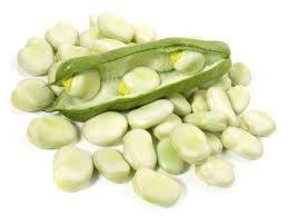Bubuk Isolat Protein Kacang <span class=keywords><strong>Fava</strong></span> Putih Ekstrak Lidah Buaya Suplemen Buah Teruji HPLC Berbagai Ekstrak Kacang Kecubung - Product Image 3
