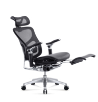 Chaise de bureau ergonomique haut de gamme en maille avec accoudoirs en aluminium 7D, base en aluminium poli, soutien lombaire et appui-tête réglables
