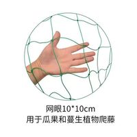 Max Yield Budget Choice Ultra Lichtgewicht Hittebestendig 30cm Mesh Maagdelijk HDPE Heavy Duty Ranknet Fruitbescherming Kalkoennet Huis