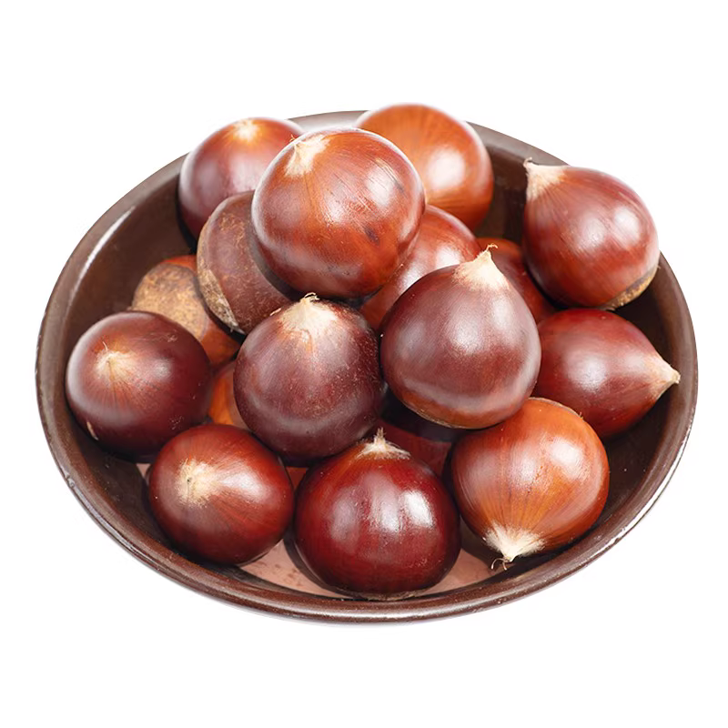 High Quality Fresh Chinese Chestnuts Grade