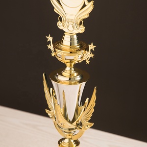 Nguồn nhà sản xuất T04 nhựa bạc Trophy huy chương giải thưởng cho người chiến thắng quà lưu niệm với biểu tượng tùy chỉnh - Product Image 5