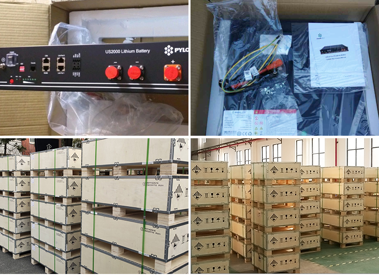 48V Solar Inverter Battery LiFePO4 Lithium Ion Pack Battery 50Ah 100Ah 120Ah 200Ah