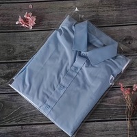 Sacs transparents refermables en BOPP 22*27cm en gros, en stock, pour vêtements, ceintures, chemises, accessoires pour cheveux, portefeuilles, petits cadeaux de fête