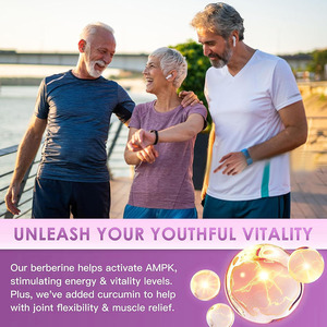 High quality private label chromium & Berberine HCL capsule Prevents <b>Oxidative</b> Stress & Promotes Heart Health - Product Image 5
