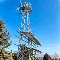 Tour d'observation à 4 pieds en acier galvanisé résistant aux intempéries de 20 m pour la patrouille de frontière et la surveillance de sécurité extérieure