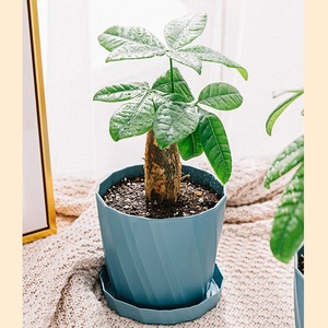 Modern type professional plastic flower pots & planters plant pot indoor use