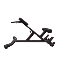 Chaise romaine d'entraînement pour la musculation, banc d'extension dorsale avec structure métallique robuste et haute capacité de charge