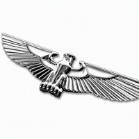 Écusson d'aviation personnalisé USAF, ailes de spécialité plaquées métal, double ailes de pilote, accessoire commémoratif, cadeau souvenir