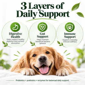 Gouttes de soutien digestif <span class=keywords><strong>pour</strong></span> animaux de compagnie recommandées par les vétérinaires <span class=keywords><strong>pour</strong></span> chiens, avec cultures actives et fibres prébiotiques <span class=keywords><strong>pour</strong></span> l'équilibre intestinal - Product Image 4