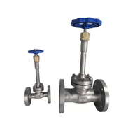 Vanne à soupape manuelle flexible cryogénique à tige longue en acier inoxydable API/API 6D avec joints de disque PCTFE DN10-DN200