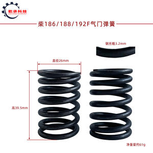 Piezas de Bomba de Agua para Motores Diésel Refrigerados por Aire, Cultivadoras 170F 173F 178F 186F 188 192F, Válvulas y Resortes - Product Image 3