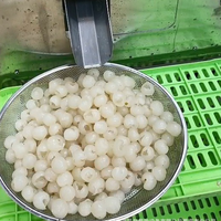 Roestvrijstalen Longan Kern Verwijderen Lychee Longan Peeling Shell Ontpit Machine Longan Dunschiller Beschietingsmachine