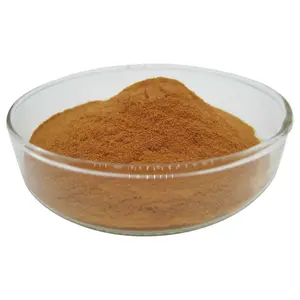 Iso Hot Selling Ginkgo Biloba Extract Poeder Cas 90045-36-6