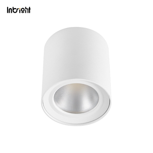 SAA Downlight LED montado en superficie Australia Dali Down Light 15W 30W 50W Foco comercial IP65 Spot Light - Product Image 3