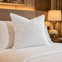 Ventes en gros d'inserts de coussins en duvet de plumes, moelleux et volumineux, enveloppe 100% coton, pour lit, canapé, personnalisable