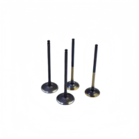 Pièces de moteur, jeu de soupapes d'échappement pour Honda Accord CP2 CRV RM4 Odyssey RB3 2.4L K24Z2 K24Z3 K24Y2 K24Y3 K24A 14721-R40-A00 4 pièces