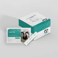 Prueba Rápida de Anticuerpos para la Tuberculosis Bovina Chuangxingwell, Diagnóstico de Clase II e Inyección