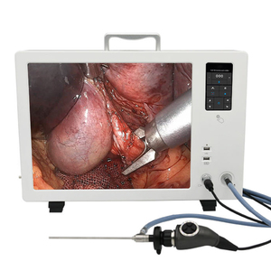 Macchina fotografica portatile dell'endoscopio 4k interamente In 1 Cy9119 per cistoscopio/isteroscopio/laparoscopio/artroscopio/endoscopio/endoscopio - Product Image 1