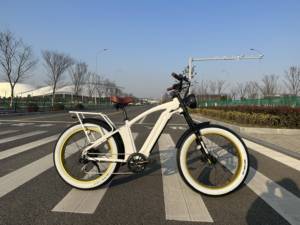 Bicicleta Eléctrica Híbrida Fat <span class=keywords><strong>MTB</strong></span> con Batería Oculta de 15Ah, Motor Trasero de 48V 250W y Neumáticos Anchos para Playa - Product Image 5