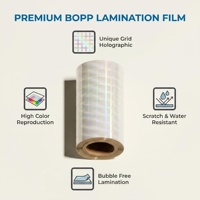 Film Laminasi Termal BOPP Efek Pelangi Grid Holografik Jenis Plastik untuk Aplikasi Pencetakan Digital