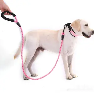 Bán buôn Dog Leash Pet Nguồn cung cấp phản chiếu nhiều màu sắc