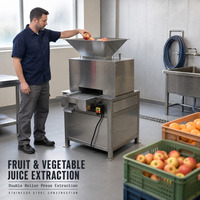 Automatische Mango Sapmaker Passievrucht Sapcentrifuge Granaatappelpers Machine