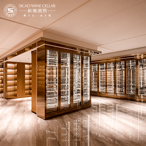 Cantinetta Elettrica Personalizzabile in Acciaio Inox con <span class=keywords><strong>Refrigerante</strong></span> R600A, Doppia Zona, Capacità 900L, Controllo Touch Panel - Product Image 3