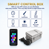 Boîtier de contrôle intelligent Twinklight avec récepteur de signal et contrôle par application, alimentation de classe 2, pour éclairage permanent 350W 450W 600W