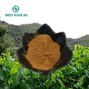 Factory Supply High Quality Dnj 1% 1.5% Mulberry Leaf Extract Powder