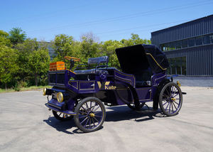 Chariot de tourisme vintage à châssis renforcé, chariot électrique à chevaux haute capacité pour passagers - Product Image 3