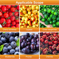 Blauwe bes sorteermachine, mango citrus sorteermachine, kersentomaat fruit zoete aardappel maat sorteermachine te koop