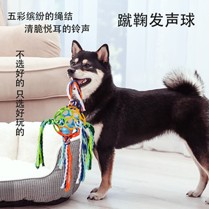 Nouveau son pour animaux de compagnie ballon de football en caoutchouc souple nettoyage des dents jouet à mâcher multifonctionnel pour chien - Product Image 2