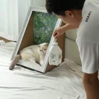 Vente en gros de cadre photo personnalisé peinture à l'huile toile d'art chat planche à gratter chat griffoir nid pour animaux de compagnie planche à gratter