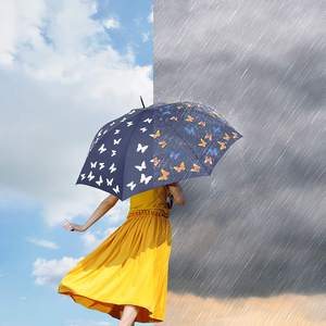 Parapluie imprimé papillon avec logo personnalisable de haute qualité parapluie sombrillas parapluie léger et solide avec <span class=keywords><strong>8</strong></span> os - Product Image 2