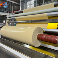 Bâches robustes en PVC enduit de vinyle, rouleaux de bâche de 20 x 30 pieds, 700 grammes, 16 m x 9 m et 9 m x 9 m