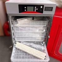 Nouvel incubateur industriel de grande capacité pour 400 œufs, idéal pour l'élevage de volailles, de bétail, de poulets, de canards, d'oies, de cailles et de pigeons