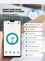 TUYA TTLock RFID Serrure à cylindre intelligente Europe avec clés Cylindre de serrure intelligent pour serrures à profil européen