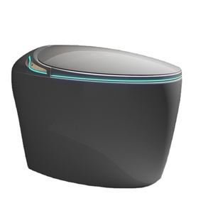 Egg Shaped All in One Fully Automatic Electric <strong>Bidet</strong> Smart Toilet with Remote Control for Home Use - Product Image 1