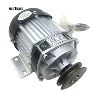 Motore Elettrico BM1418ZXF 750W 48V 60V DC Brushless con Puleggia <span class=keywords><strong>per</strong></span> Scooter, Biciclette Elettriche e Attrezzature Agricole - Product Image 2