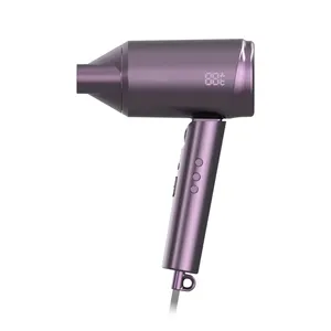 New Design Portable high speed Quick Drying Mini Salon 2 in 1 Blow Dryer Foldable Intelligent Hair Hand Dryer Supplier