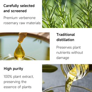 Aceite <span class=keywords><strong>de</strong></span> <span class=keywords><strong>Romero</strong></span> Natural Puro, Suero para el Crecimiento del Cabello, Marca Privada, Aceite Herbal Esencial para el Cuidado del Cuero Cabelludo, Aceite Nutritivo para el Crecimiento del Cabello - Product Image 3